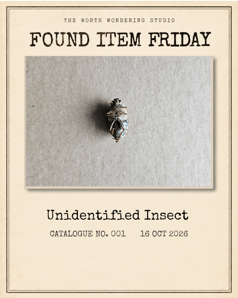 Found Item Friday catalogue card showing an unidentified insect lying on its back against a grey background. Catalogue No. 001, dated 16 October 2026.